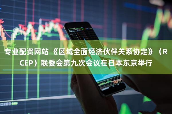 专业配资网站 《区域全面经济伙伴关系协定》（RCEP）联委会第九次会议在日本东京举行