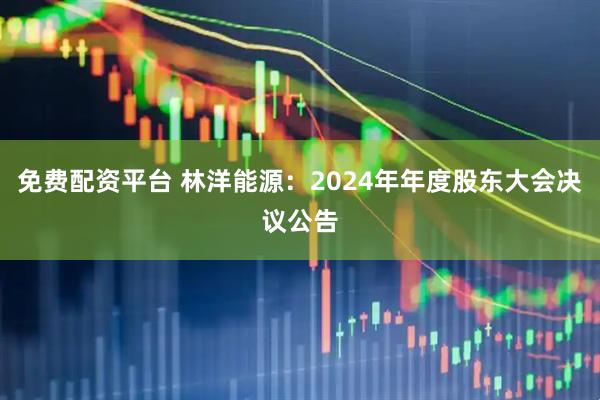 免费配资平台 林洋能源：2024年年度股东大会决议公告