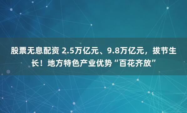 股票无息配资 2.5万亿元、9.8万亿元，拔节生长！地方特色产业优势“百花齐放”