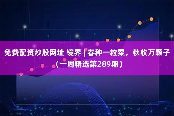免费配资炒股网址 镜界 | 春种一粒粟，秋收万颗子（一周精选第289期）